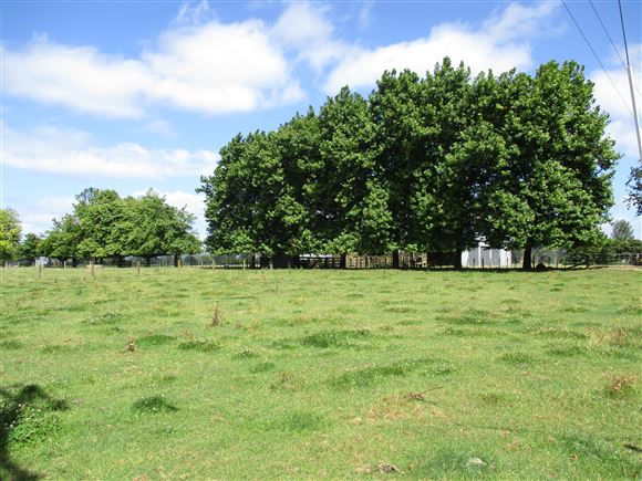 364b Horotiu Road, Te Kowhai, Waikato, 0 rūma, 0 rūma horoi