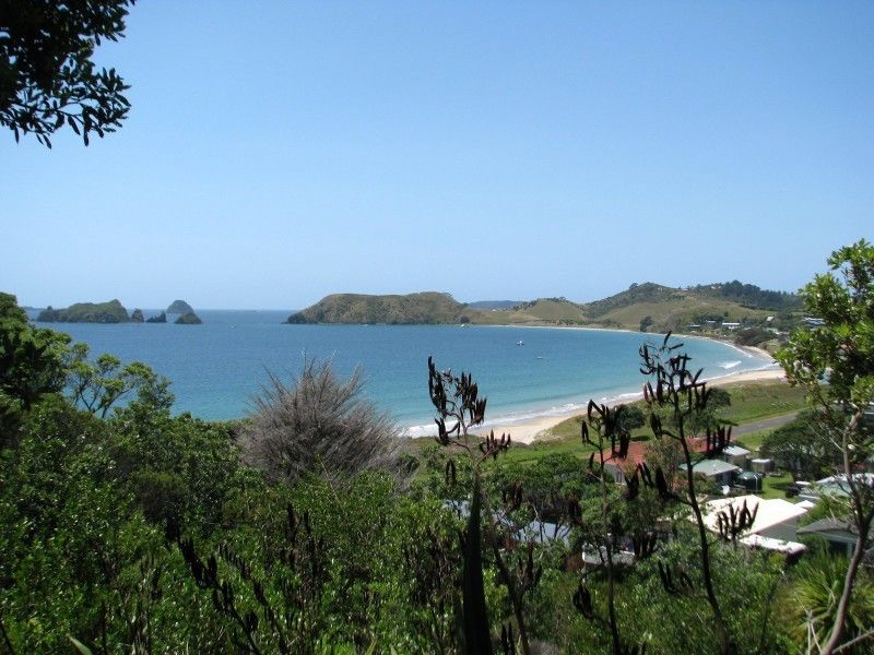 10 Calder Place, Opito Bay, Coromandel, 2 rūma, 1 rūma horoi