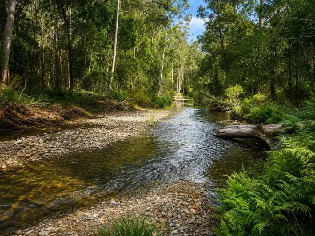 Combienbar 20.9ha Riverfront Farm with Quality Infrastructure & Livestock