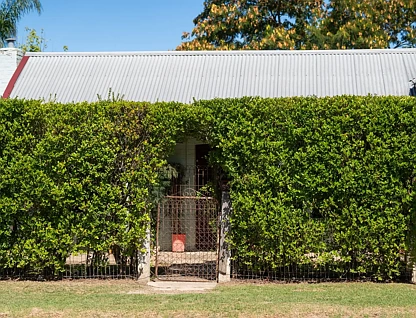 553 Roach Street, Lavington, NSW 2641, 2 ਕਮਰੇ, 1 ਬਾਥਰੂਮ, House