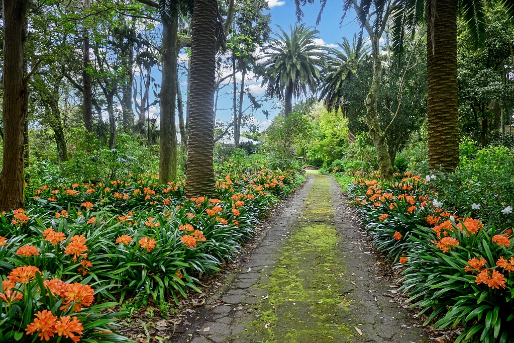 Levin 4房  Spacious Family Haven with Rural Charm