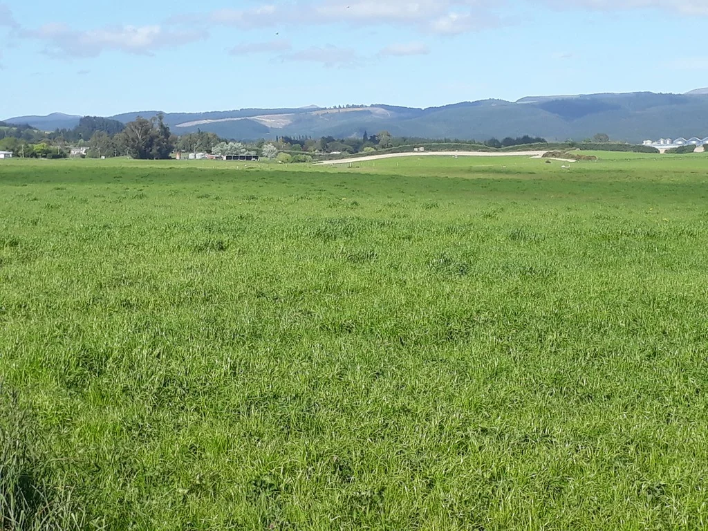Herbert ‘Otepopo Downs’ - Irrigated Productive Unit