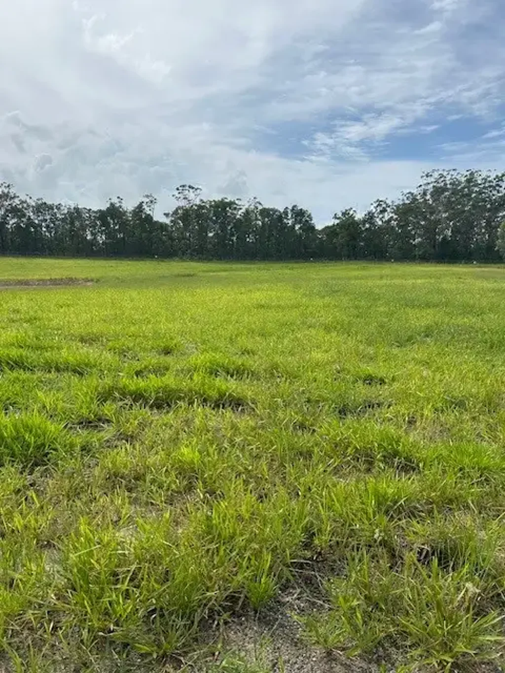 D'Aguilar PRIME 5 ACRES