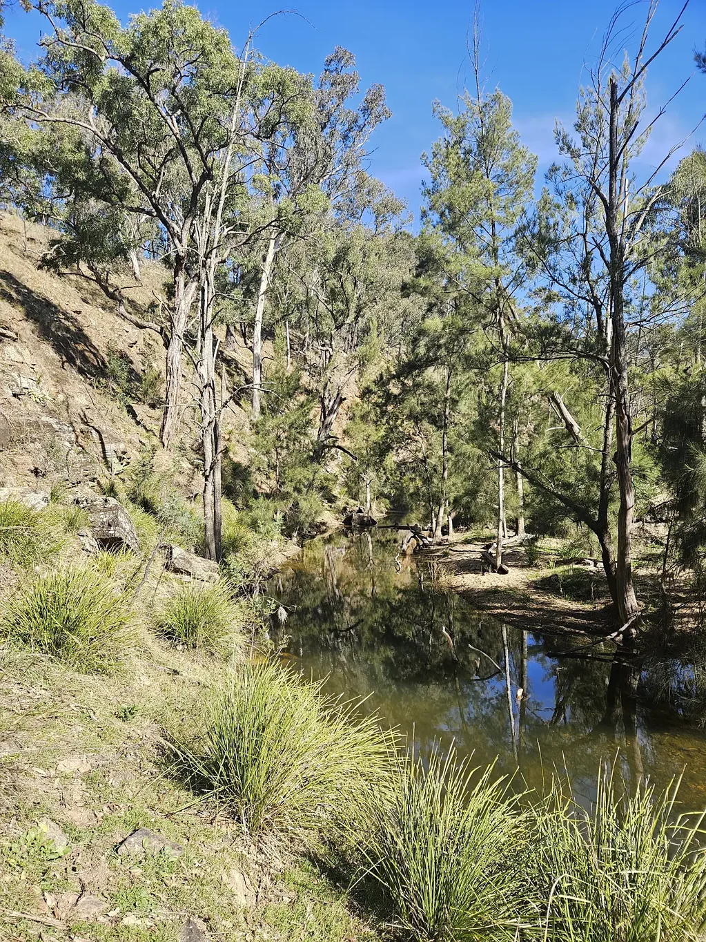 Rylstone Capertee River frontage on large rural holding. Approx. 420.06ha
