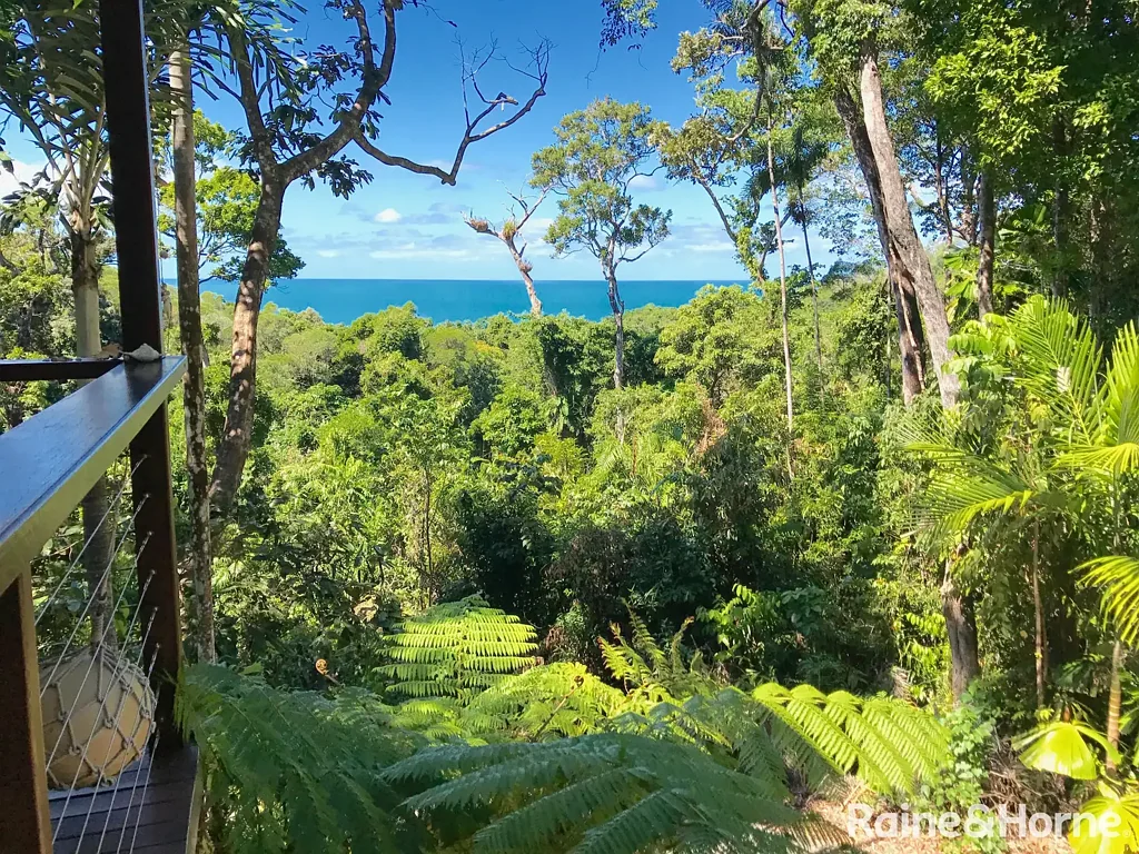 Daintree 3कमरा DAINTREE MAGIC Rainforest and Ocean Views!
