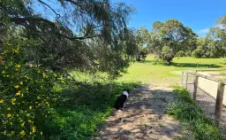 40 Lakeside Terrace, Preston Beach