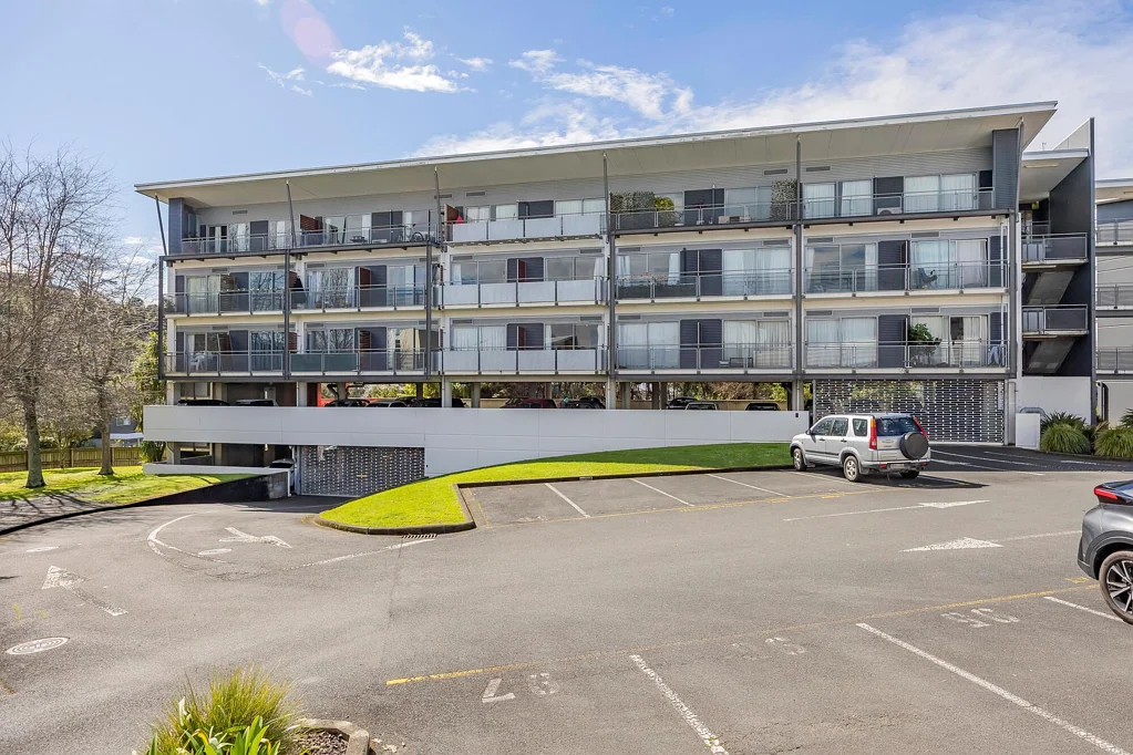 Albany 1房  Studio apartment with car park in Albany location
