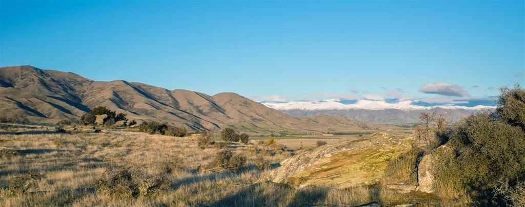 Luggate-Cromwell Road, Queensberry, Otago, 0 침실, 0 욕실