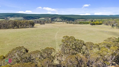 Mozart Space, Privacy & Country Living on 40 Acres