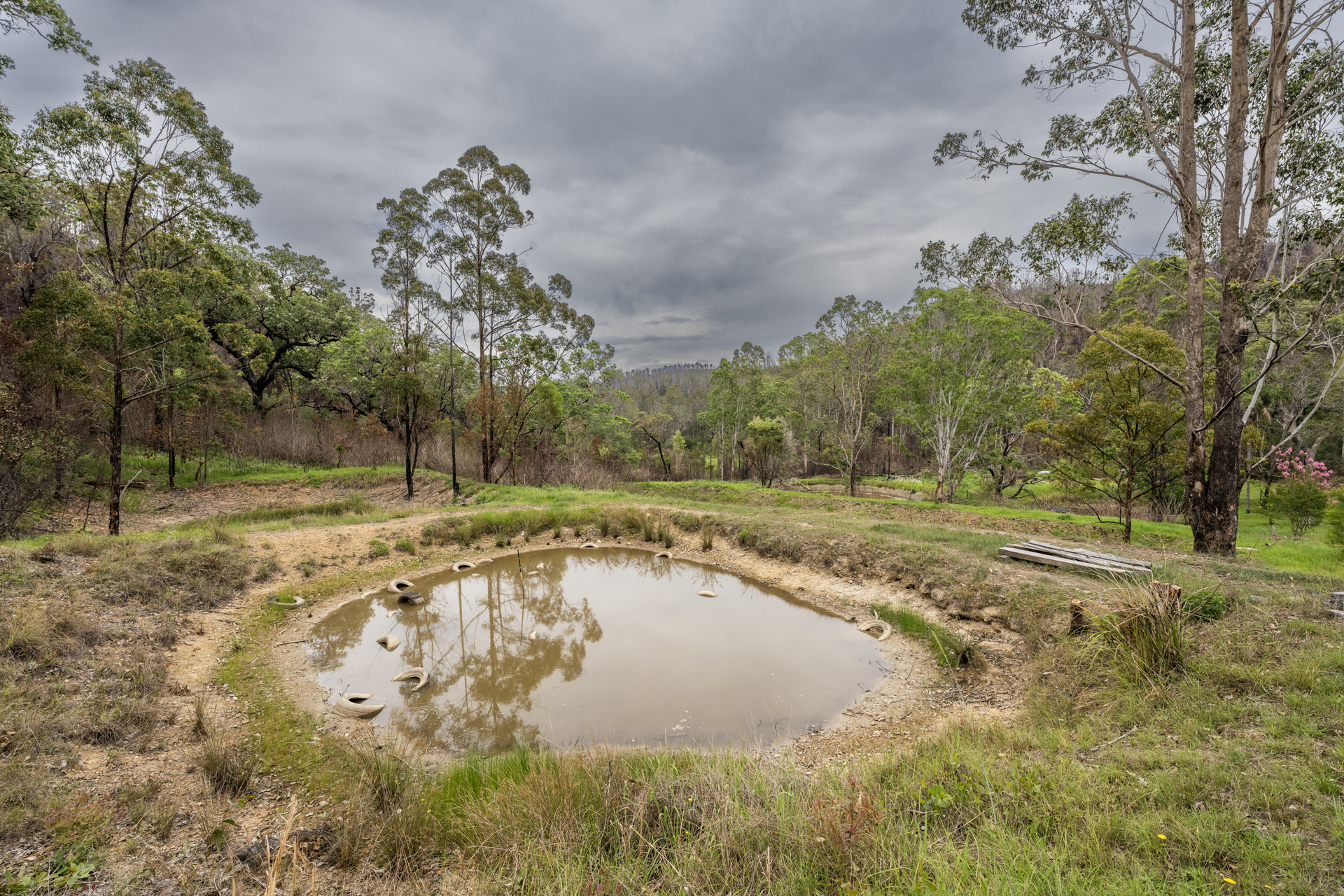 531 GLENS CREEK RD, NYMBOIDA NSW 2460, 0 રૂમ, 0 બાથરૂમ, Lifestyle Property