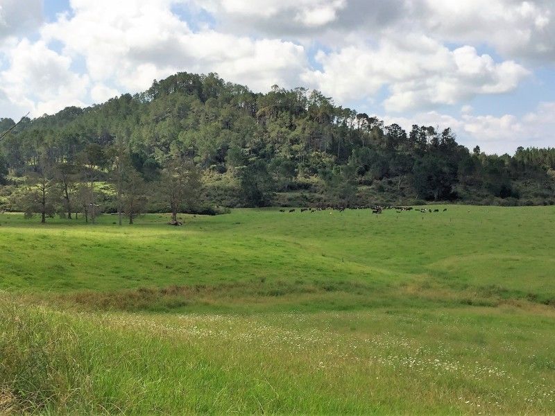 1093 Sh25 - Tairua-Whitianga Highway, Whenuakite, Coromandel, 0 rūma, 0 rūma horoi