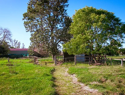 31-33 DUNOLLY RD, Singleton, Hunter, 0房, 0浴, Section