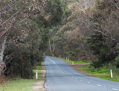 LOT 6/60 Caldwell Street, Heathcote, Wangaratta, 0房, 0浴, Section