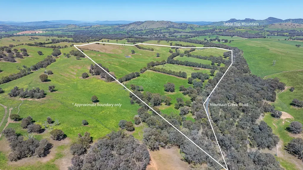 'High View'/778 Mountain Creek Road, Mullengandra, NSW 2644