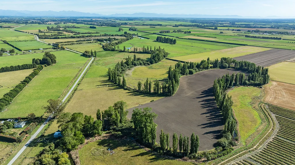 Leeston  Nature lovers dream