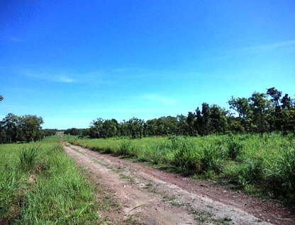Lot 1268 Coach Road, Batchelor, Daly - Tiwi - West Arnhem, 0 Bedrooms, 0 Bathrooms, Lifestyle Property
