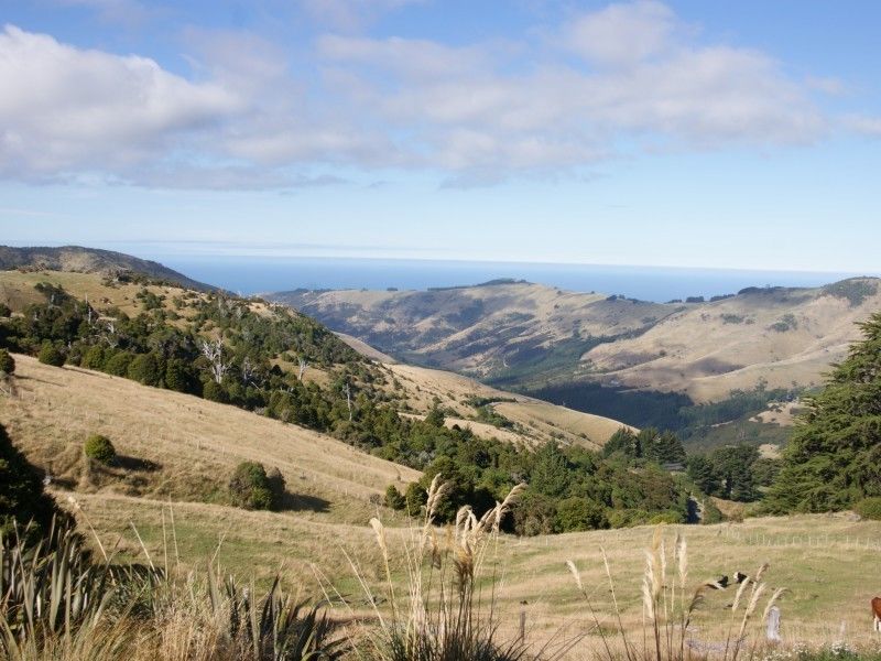 Rural Banks Peninsula