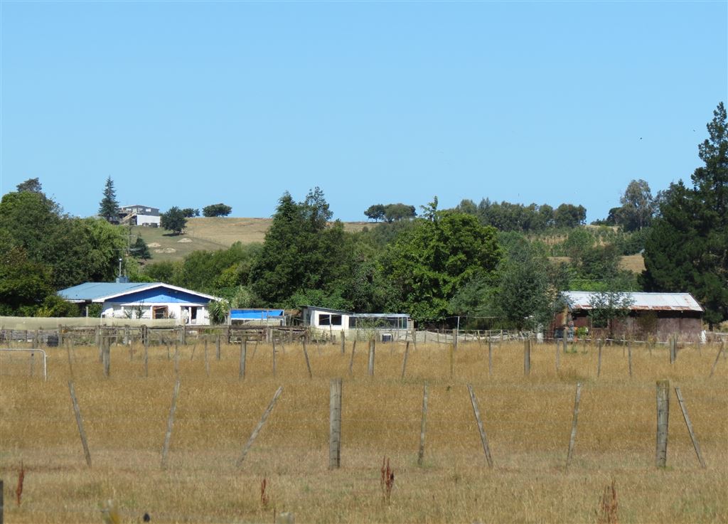 37 Central Road, Lower Moutere, Tasman, 4 Schlafzimmer, 1 Badezimmer