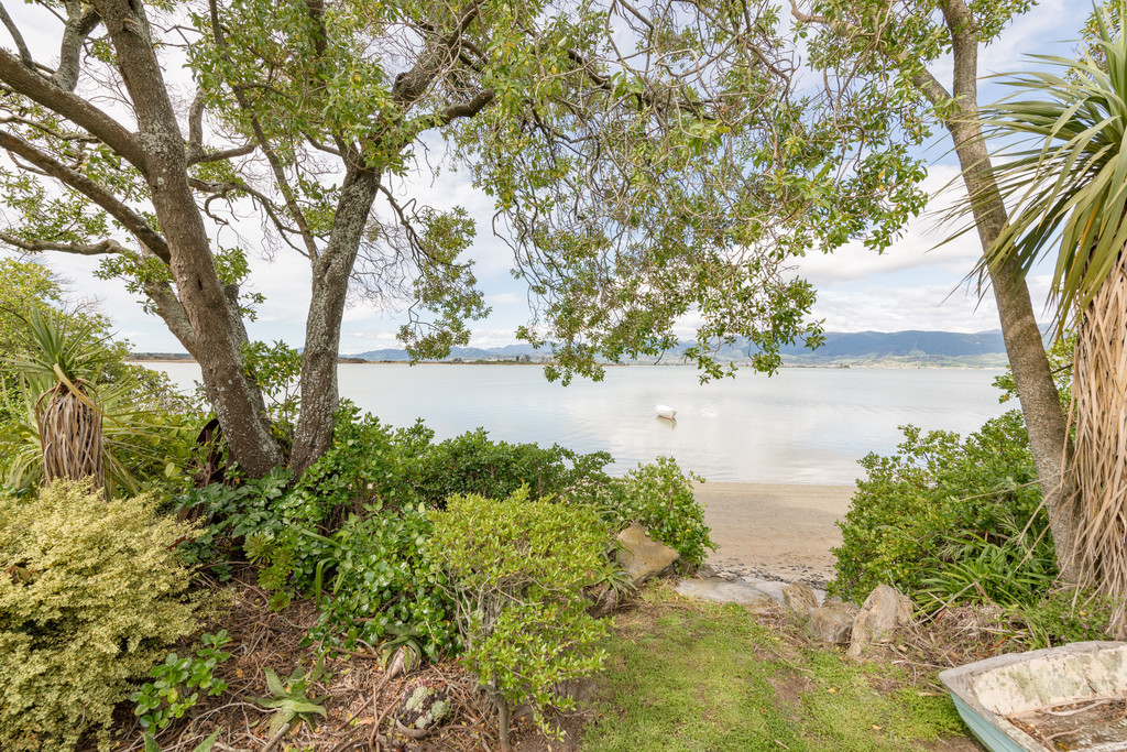 119 Barnett Avenue, Nelson Bays Coastal, Tasman, 4 rūma, 0 rūma horoi