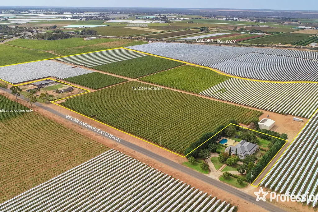 Irymple Top Class Irymple Table Grape Property on 15.08Ha (37.26 acres)