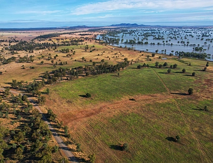 1872 Lake Cowal Road, West Wyalong, Riverina, 0 chambres, 0 salles de bain, Lifestyle Property