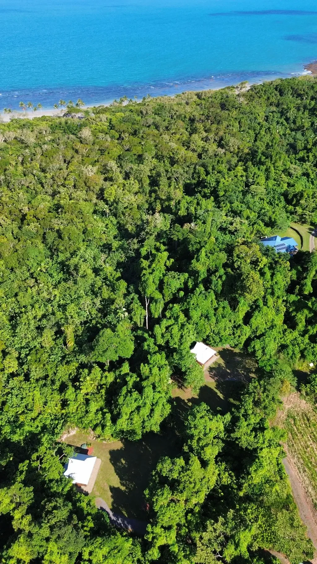 Cape Tribulation 5房  Coconut Beach House and Cabins
