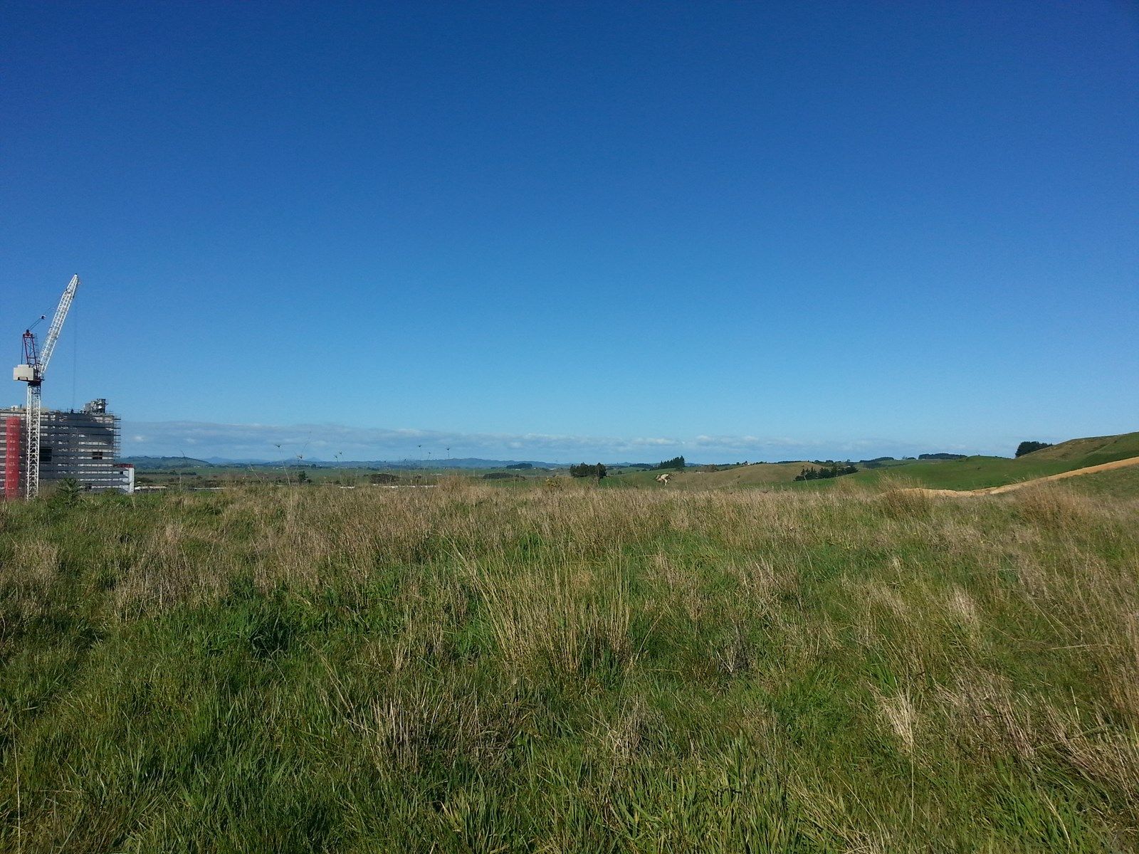 201 Hitchen Road, Pokeno, Waikato, 0 habitaciones, 0 baños