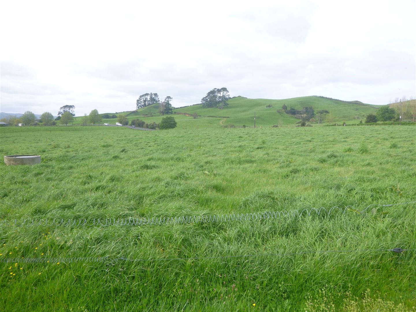 Old Tauranga Road, Waihi, Hauraki, 0 침실, 1 욕실