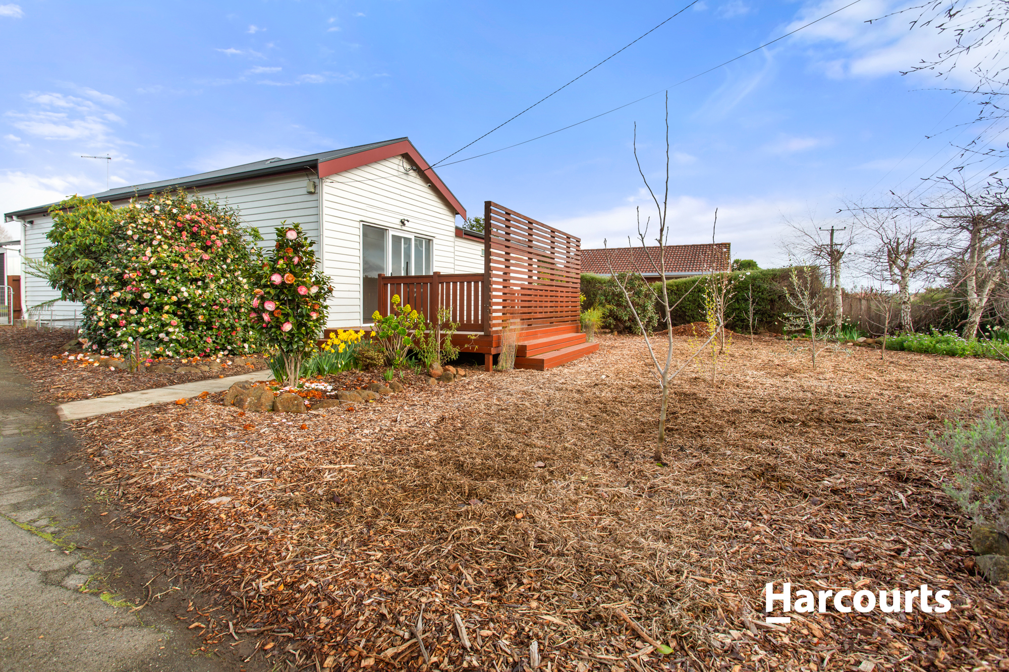 11 GOFTON ST, SCOTTSDALE TAS 7260, 0 Kuwarto, 0 Banyo, House