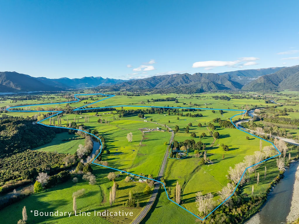 Takaka  Proven Dairy Performer - Cream of the Crop
