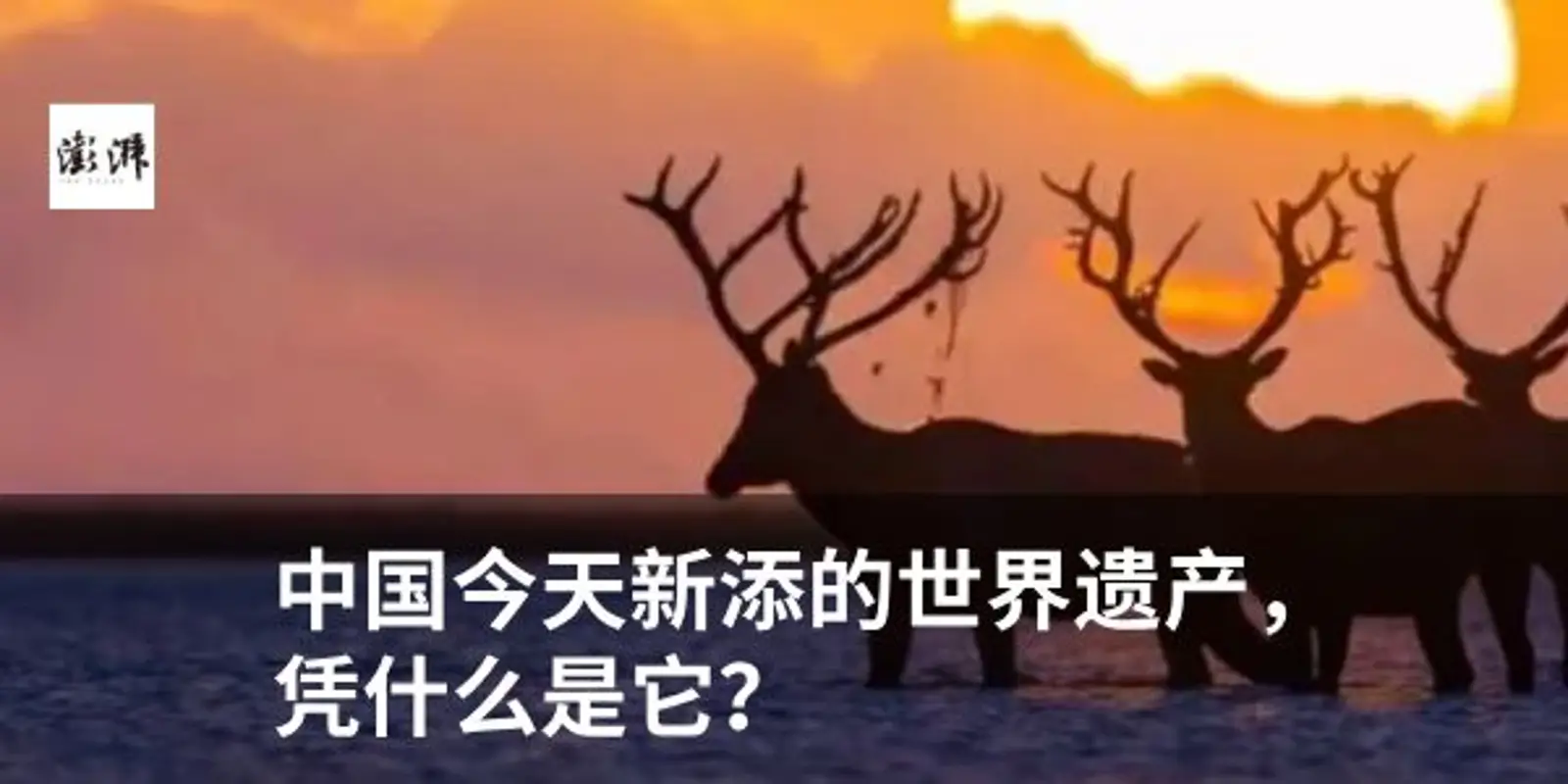 共享单车，都快骑不起了