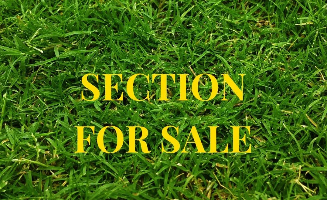 31 McMenamin Place, Fairview Heights, North Shore City, Auckland