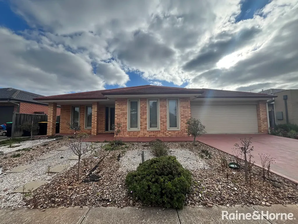 Large 4 bedroom plus study Family Home!
