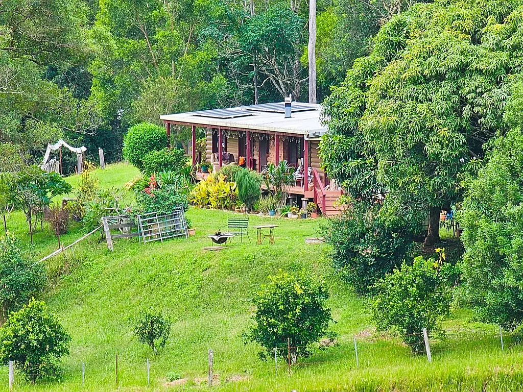 5155 Taylors Arm Rd, Thumb Creek, NSW 2447