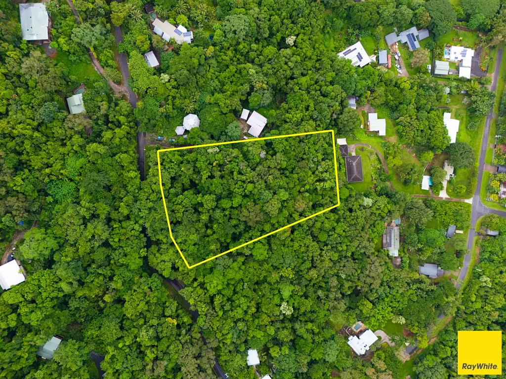 Smithfield A Rare Rainforest Opportunity Awaiting Your Vision