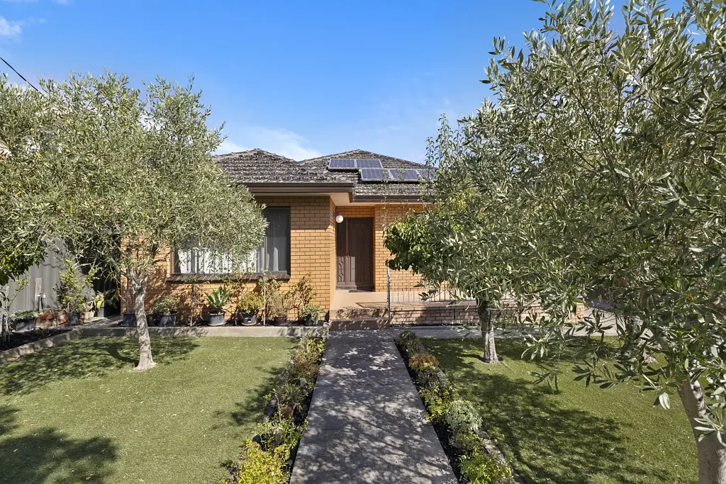 Bentleigh 3房 巨大潜力 732sqm绿荫地块 靠近Moorabbin中心 HCTZ分区增值 朝北采光 优质木地板 宽敞起居空间 三卧独立卫浴 双车位车库 学区房 步行便利 A FAMILY CLASSIC WITH 732SQM OF LAND