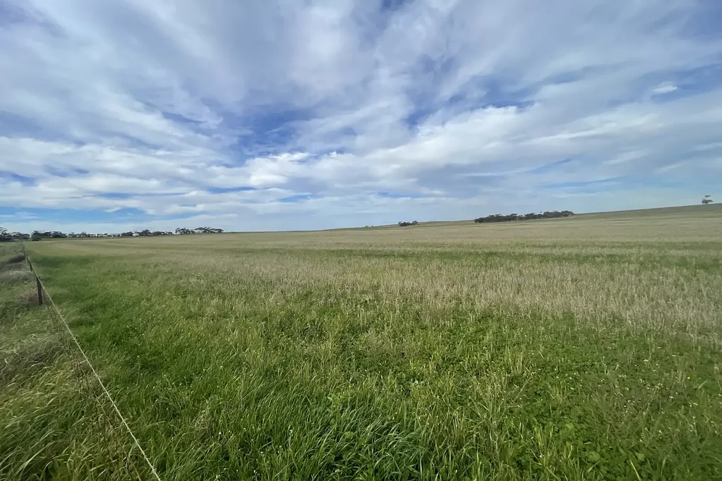 Karoonda  Dutschke's - Warm Mallee Grazing & Cropping Country At It's Best