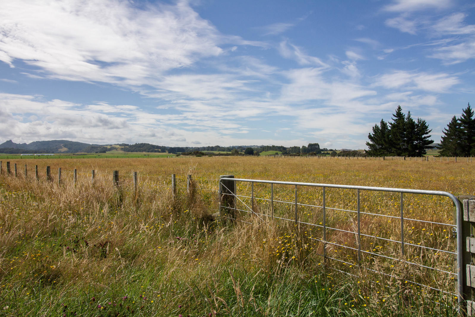 2138 Oruakukuru Road, Tangiwai, Ruapehu, 3 침실, 0 욕실