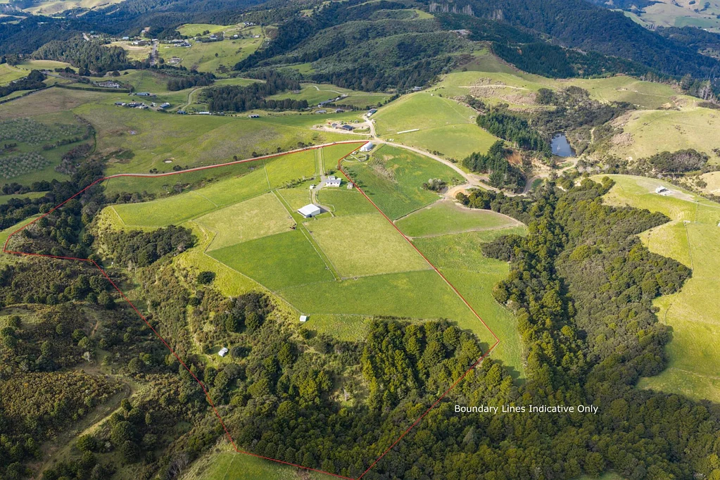 Waipu 3 Bedroom Privacy, Productivity & Natural Beauty