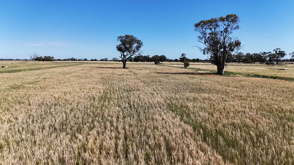 Cullen "Barrbend" - Prime Cropping & Grazing Property
