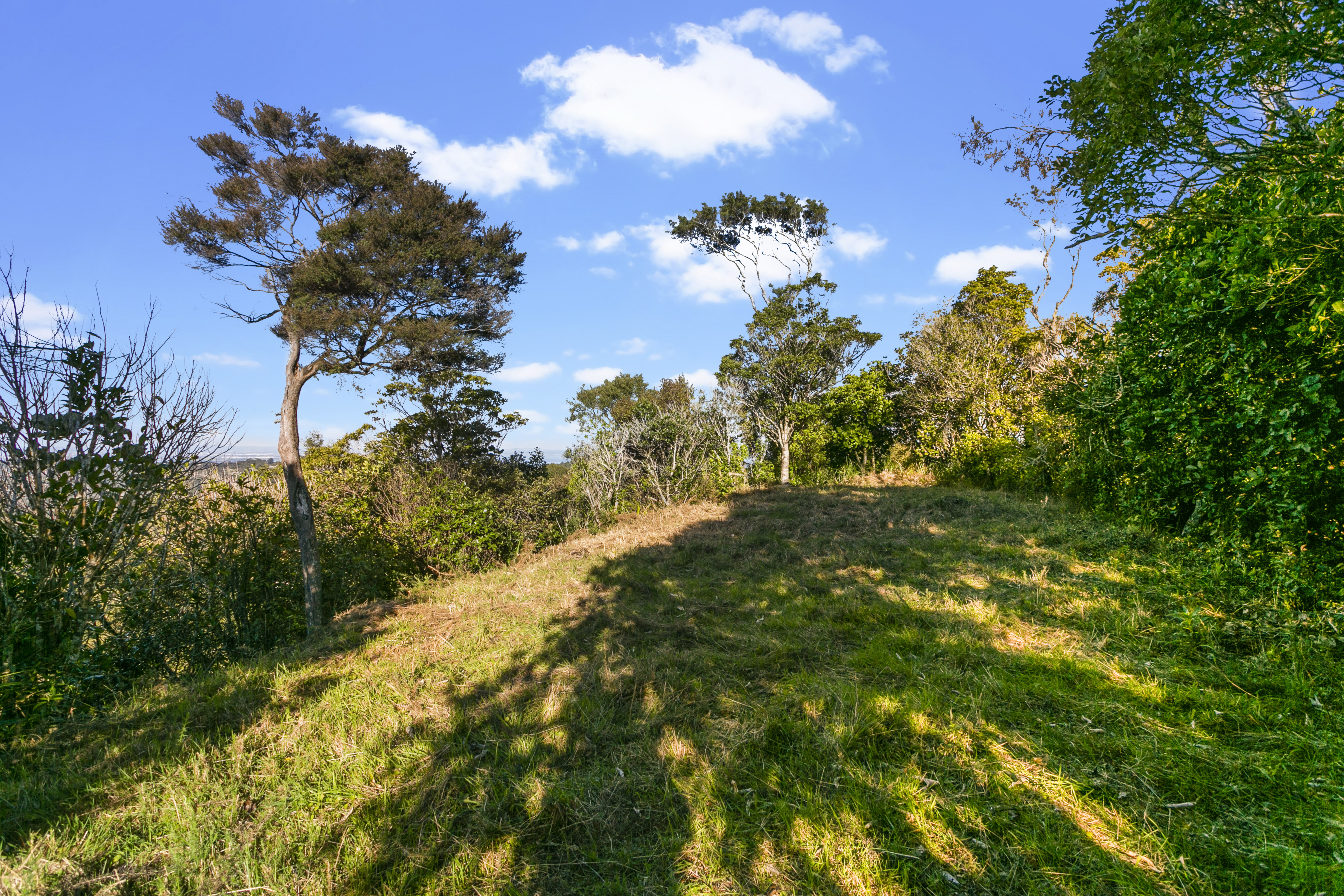 910 West Coast Road, Waiatarua, Auckland - Waitakere, 0房, 0浴