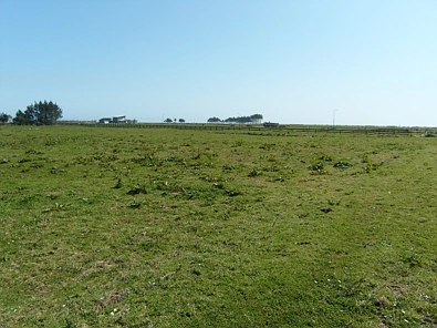Carters Beach The best land at the best price