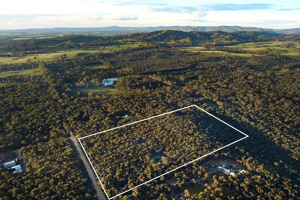 Walmer  Trees & Tranquility in Walmer 7.105ha (17.55 Acres) of Private Bush-land Paradise