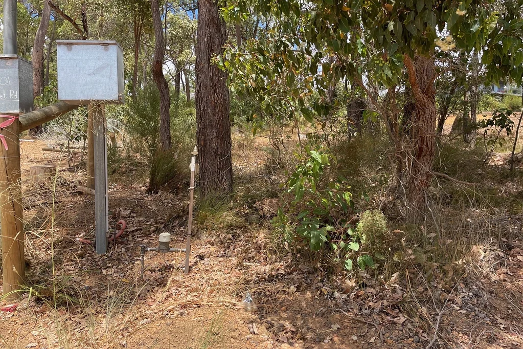 28 Struthers Street, Nannup, WA 6275