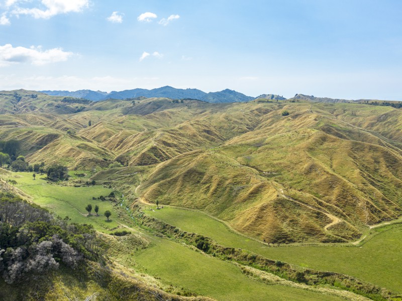 1001 Tunanui Road, Mahia, Wairoa, 0 phòng ngủ, 0 phòng tắm