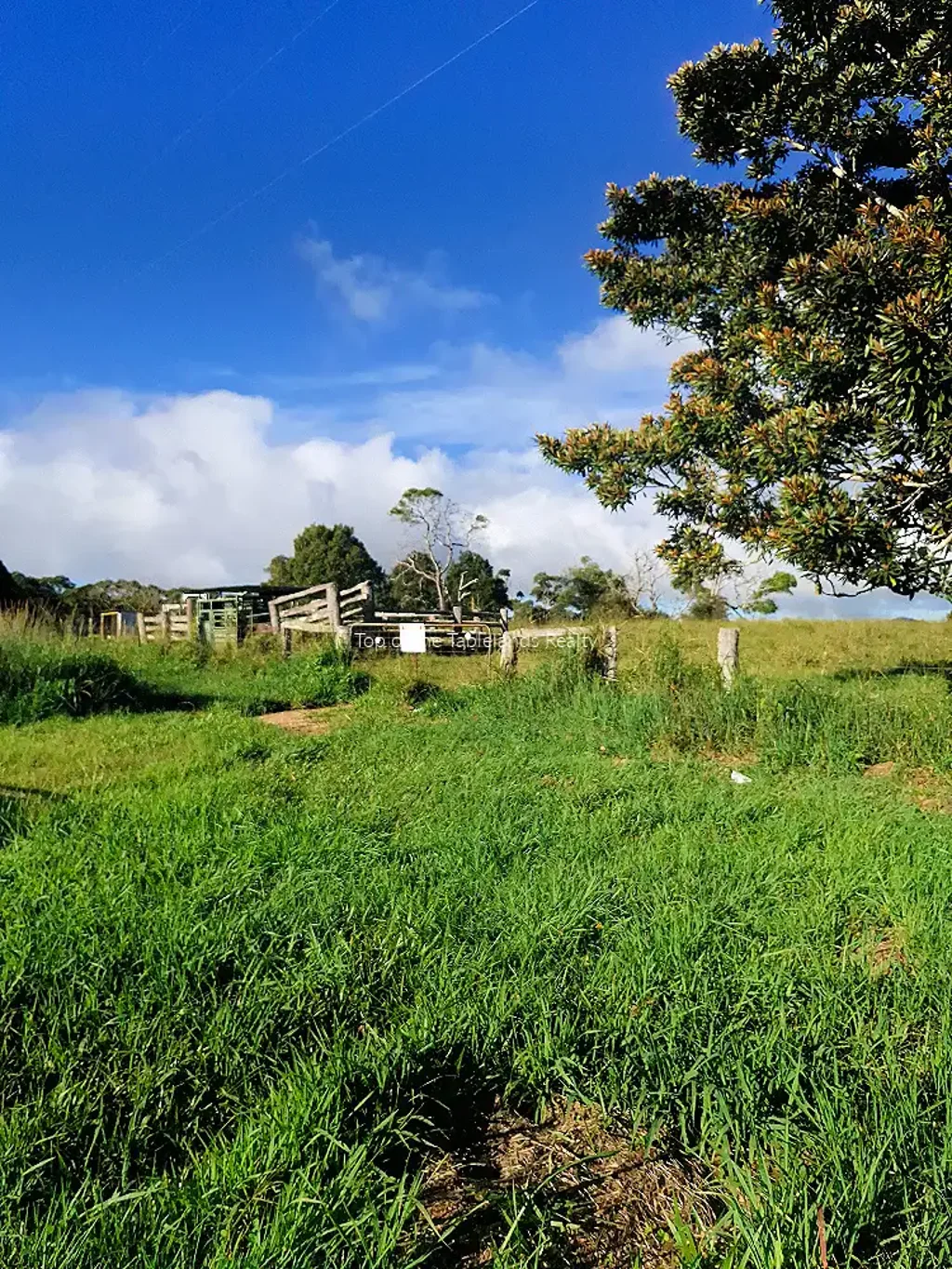 Evelyn  Waterfall and farm land Dream