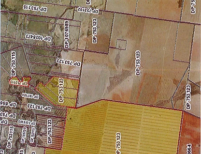 972 Wardry Bus Road, Condobolin, Central Tablelands, 6 chambres, 3 salles de bain, Lifestyle Property
