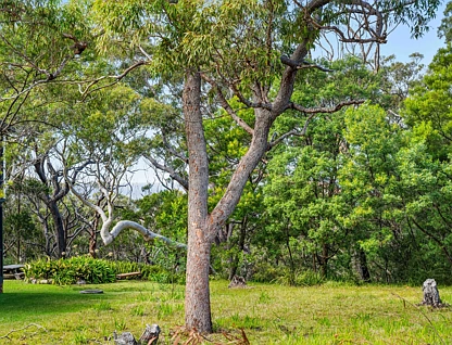 130 Waldegrave Crescent, Vincentia, South Coast, 0 Kuwarto, 0 Banyo, Section