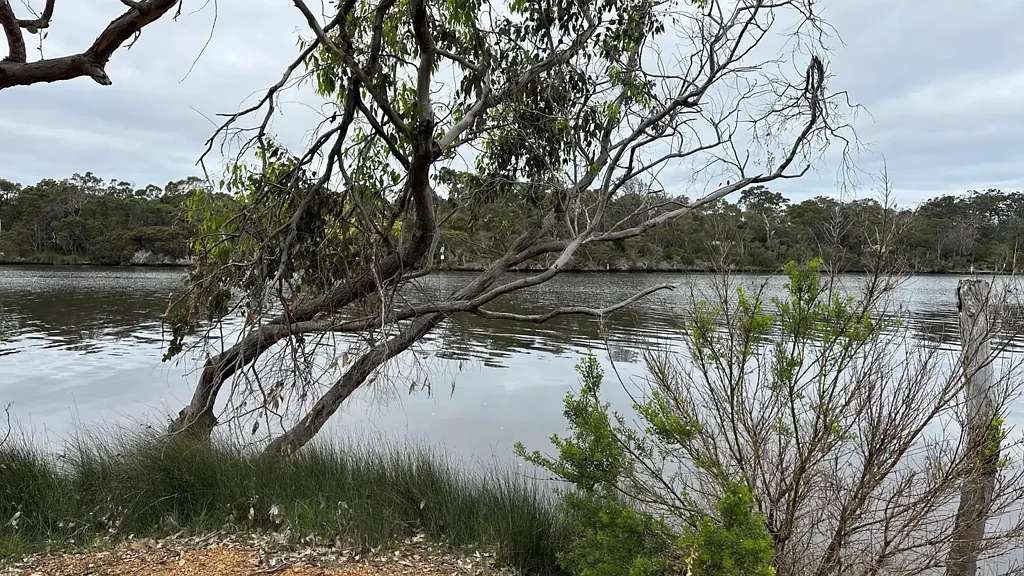 8 Sabina Drive, Molloy Island, WA 6290