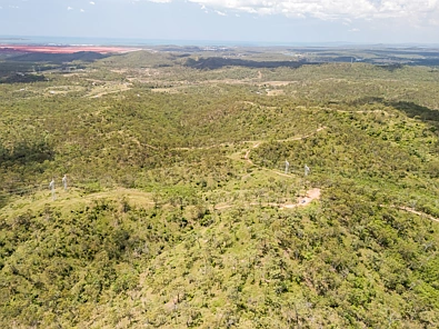 223 Mortimer Road, Calliope, QLD 4680, 0 chambres, 0 salles de bain, Lifestyle Property